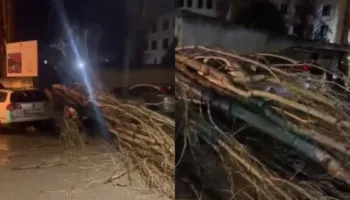 Era e fortë rrëzon pemët në Vlorë, shembet muri rrethues i shkollës