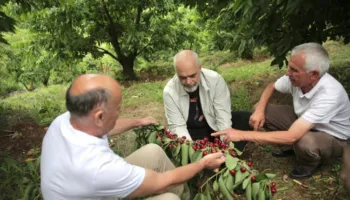 Fermerët dhe 3 miliardë lekët që nuk u përdorën