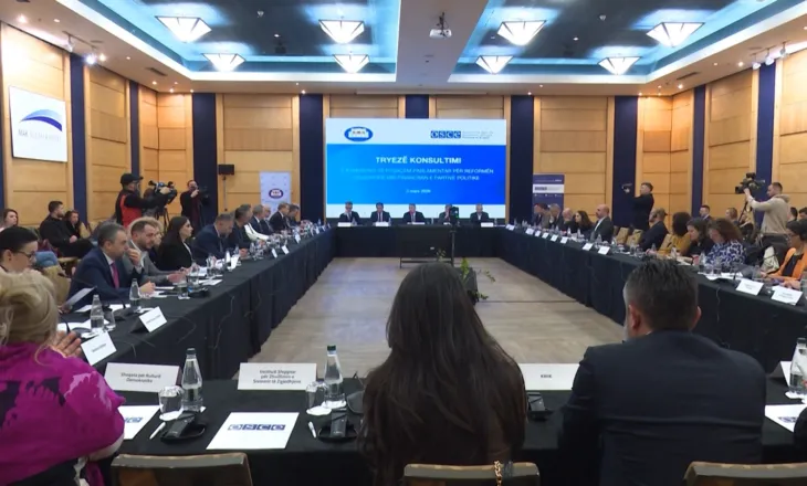 Financimi i partive, kusht për BE, Gonzato: Reforma zgjedhore të garantojë barazi për të gjithë