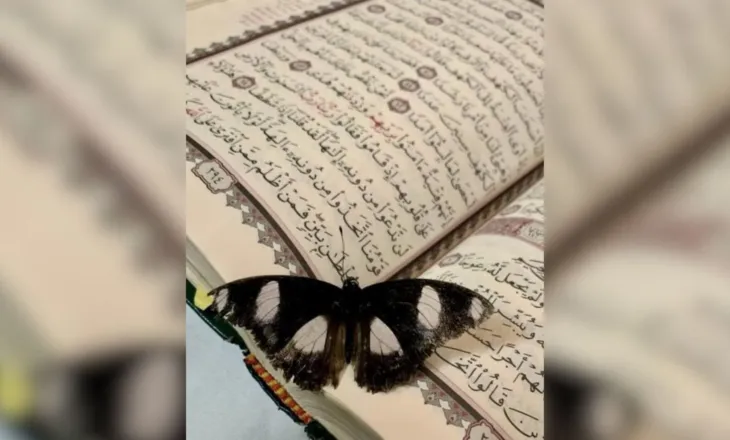 Fitër Bajrami, kryeministri Edi Rama i uron besimtarëve shqiptarë festën e shenjtë