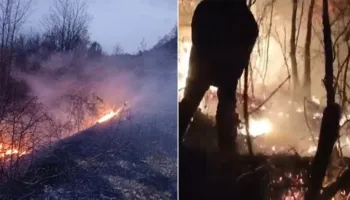 Flakët përfshijnë kodrën e Somotinës në Pogradec, ndërhyjnë zjarrfikësit dhe banorët