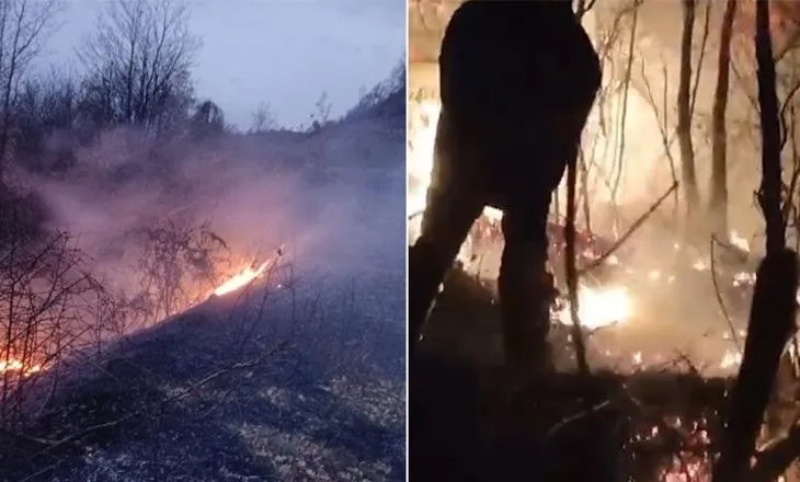 Flakët përfshijnë kodrën e Somotinës në Pogradec, ndërhyjnë zjarrfikësit dhe banorët