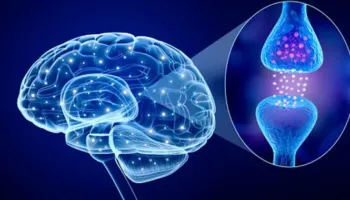 Flokët si tregues i hershëm i sëmundjes së Parkinsonit, çfarë zbuluan shkencëtarët