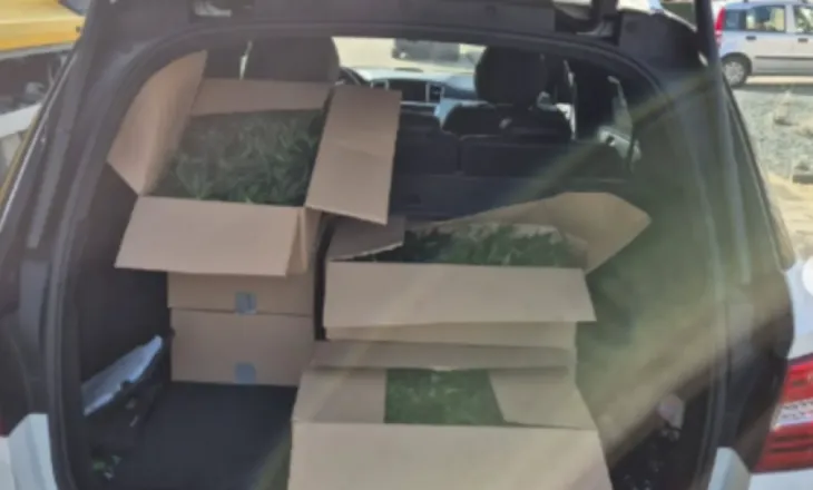 FOTO/ Kishte mbushur makinën e vjedhur plot me kanabis, policia arreston shqiptarin