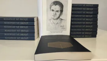 Fragmente të një shpirti të mbijetuar