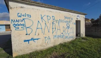 Fshati në Fier më shumë banesa se njerëz, qendra shëndetësore është kthyer në gërmadhë