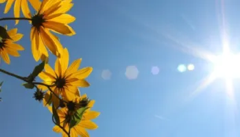 Fundjava me temperatura deri në 24 gradë celsius