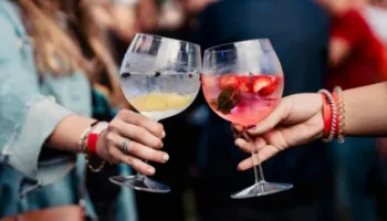 Gin me bollëk: Çifti britanik pretendon se ka koleksionin më të madh të xhinit në botë