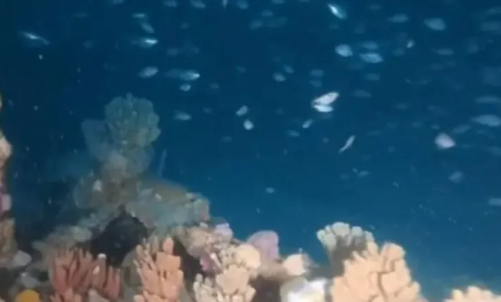 Gjenden në Australi rrënojat e anijes me avull City of Hobart