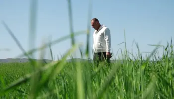 Gruri do të kushtojë më shumë/ Nafta dhe plehrat kimikë, fermerët: Tregtarët po abuzojnë me rritjen e çmimeve prej luftës