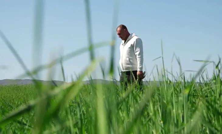 Gruri do të kushtojë më shumë/ Nafta dhe plehrat kimikë, fermerët: Tregtarët po abuzojnë me rritjen e çmimeve prej luftës