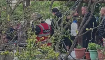 I moshuari vrau gruan dhe më pas veten, policia kishte ndërhyrë më parë për të shuar sherrin