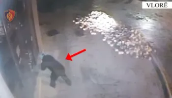 I vuri flakën biznesit në Vlorë, kapet 37-vjeçari i shpallur në kërkim