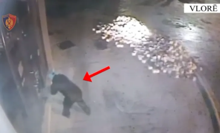 I vuri flakën biznesit në Vlorë, kapet 37-vjeçari i shpallur në kërkim