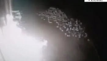 I vuri zjarrin një biznesi, arrestohet 37-vjeçari në Vlorë