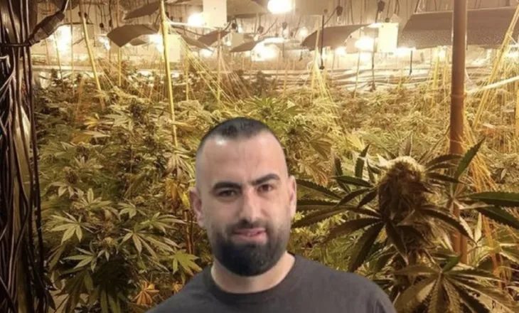 Iu gjet magazinë me kanabis, drejtori i burgut të Rrogozhinës në polici: E përdorte im vëlla!