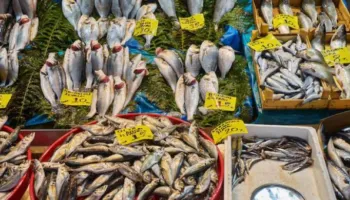 Jo të gjithë peshqit janë të shëndetshëm, cilët nuk duhet t’i hani