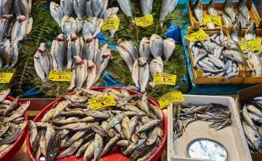 Jo të gjithë peshqit janë të shëndetshëm, ja cilët nuk duhet t’i konsumoni