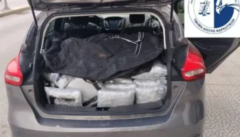 Kapen 60 kg kanabis në kufirin greko-shqiptar, arrestohet një shtetas grek