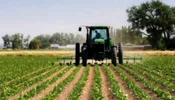 Këshilli i Ministrave miraton fondin e vitit 2026 për Ministrinë e Bujqësisë, ja sa do të përfitojnë bujqit dhe blegtorët