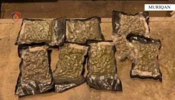 Kishin fshehur 4.2 kg kanabis në makinë, pranga 2 personave në Muriqan