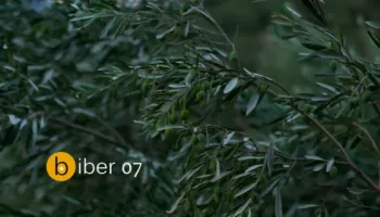 Konkursi “Biber” i hapur deri në maj, ftohen autorët të aplikojnë