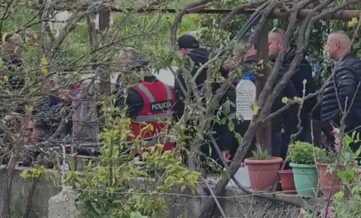 Krimi në Roskovec/ I moshuari vrau bashkëshorten dhe më pas veten, policia kishte ndërhyrë pak ditë më parë për të “shuar” sherrin