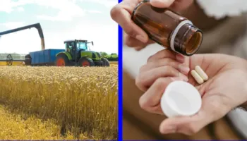 Kriza në Hormuz godet botën, nga ushqimi te ilaçet, çfarë rrezikon të shtrenjtohet