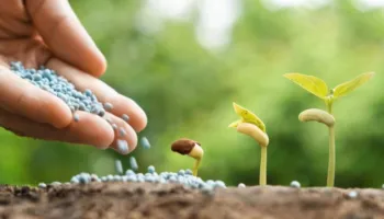 Kriza reale fillon tani, alarm botëror për rritjen e çmimit të ushqimeve