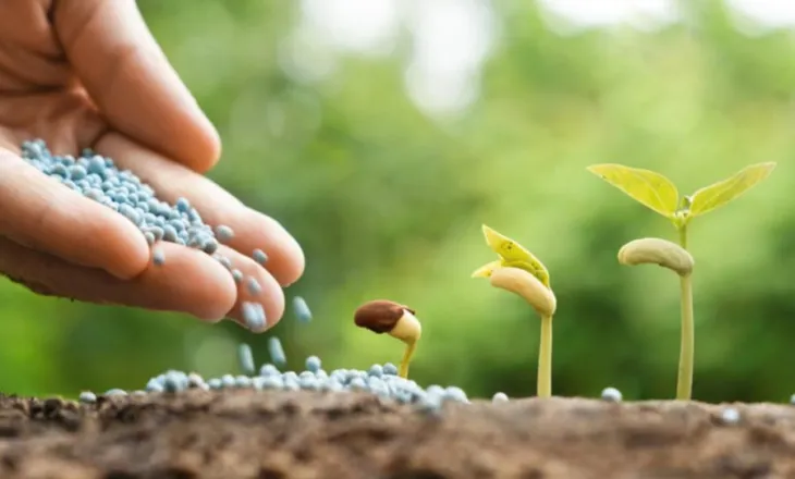 Kriza reale fillon tani, alarm botëror për rritjen e çmimit të ushqimeve