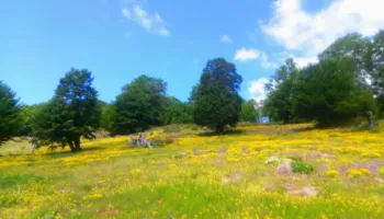 Kthjellime dhe reshje shiu në mbrëmje, parashikimi i motit për sot