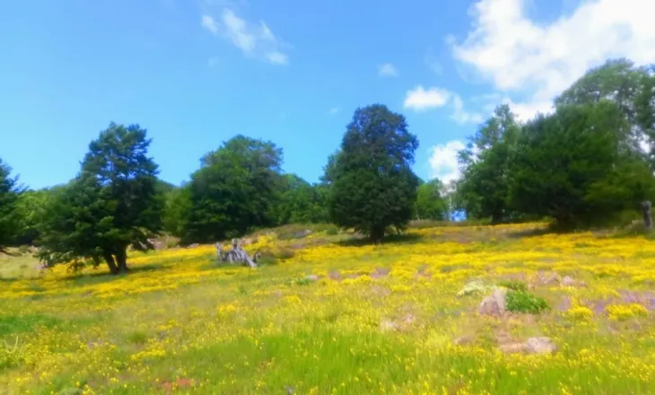 Kthjellime dhe reshje shiu në mbrëmje, parashikimi i motit për sot