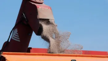 Lufta me Iranin ndryshon çmimet e plehrave, kostot e ushqimit drejt rritjes së pashmangshme