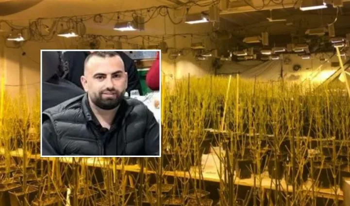 Magazinat me kanabis në Peqin, zbardhet dëshmia e drejtorit të burgut, ia ‘faturon’ vëllait përgjegjësinë