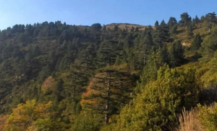 Mashtrimi me monitorimin e ajrit në Shqipëri: 59 stacione në letër, vetëm 9 funksionojnë