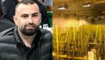 “Mbështesim hetimin e plotë”/ 4 mijë bimë kanabisi në banesën e tij reagon Drejtoria e Burgjeve: Hasa është pezulluar