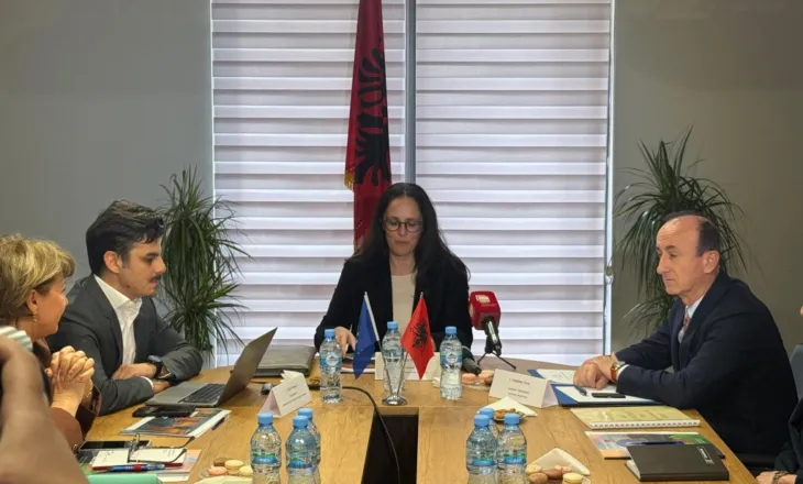 Mbi 200 mijë inspektime në tregun e punës