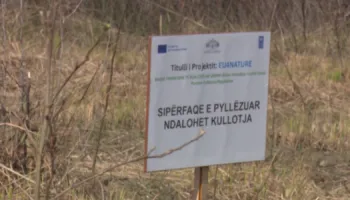 Mbillen pemë në parkun e Vjosës, 7 500 fidanë rigjallërojnë ekosistemin, projekti i financuar nga BE