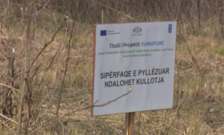 Mbillen pemë në parkun e Vjosës, 7 500 fidanë rigjallërojnë ekosistemin, projekti i financuar nga BE