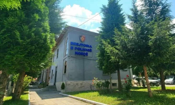 Me armë zjarri në makinë dhe banesë, arrestohet 30-vjeçari në Maliq