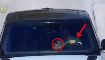 Me ceular në timon, Ministri i Brendshëm paralajmëron shoferët: Po luani me jetën!