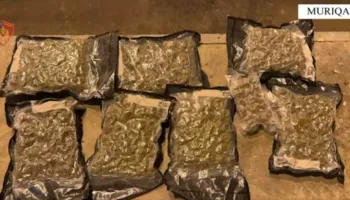 Mijëra euro të padeklaruara dhe një makinë mbushur me drogë drejt kufirit, 2 arrestime në Muriqan