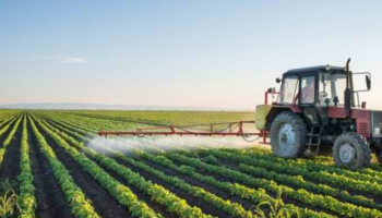 Miratohet Skema Kombëtare e Bujqësisë. Rriten subvencionet bagëtitë dhe të mbjellat