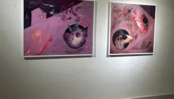 “Mish dhie”, ekspozita e Helidon Halitit që trajton paragjykimin dhe perceptimin shoqëror, e kuruar nga Diella