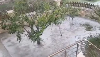 Moti i keq godet luginën e Vjosës/ Preket sektori i bujqësisë, dëmtohen sipërfaqe të tëra të mbjellash