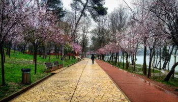 Moti ka surpriza, Dita e Verës nuk do të jetë ashtu siç e prisni