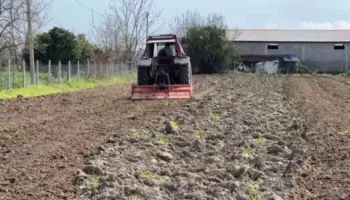 Nafta lë tokat djerrë në Fier, kosto e lartë e punimeve dhe subvencionet e ulëta detyrojnë fermerët të tërhiqen