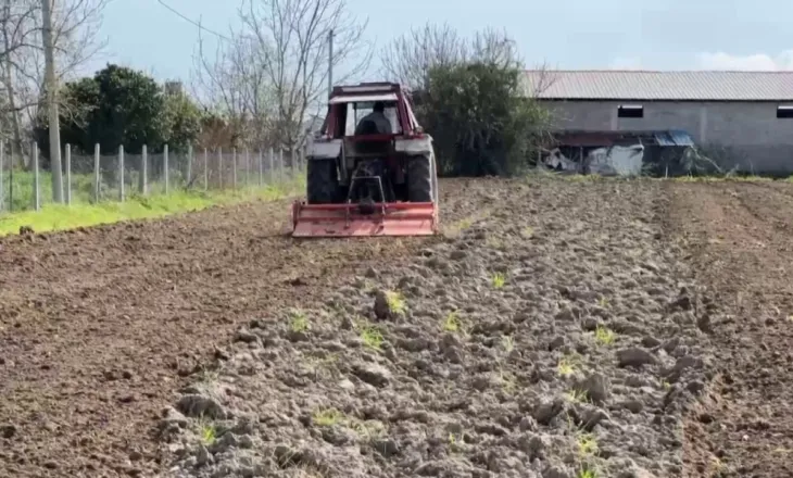 Nafta lë tokat djerrë në Fier, kosto e lartë e punimeve dhe subvencionet e ulëta detyrojnë fermerët të tërhiqen