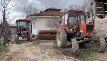 Nafta paralizon bujqësinë, fermerët rikthehen tek kuajt në kulmin e të mbjellave: S’kemi mundësi të blejmë karburant…