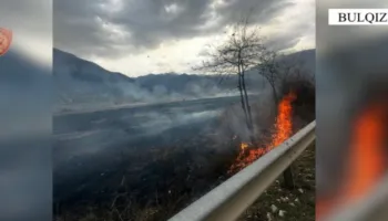 Ndezën zjarr në një sipërfaqe toke dhe dogjën 7 dynym bimësi, procedohen dy persona në Bulqizë